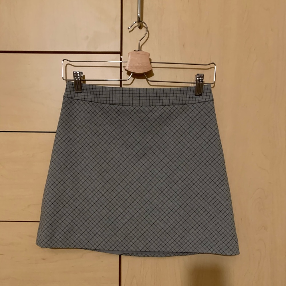 Express A-line Skirt 2
